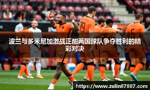 波兰与多米尼加激战正酣两国球队争夺胜利的精彩对决